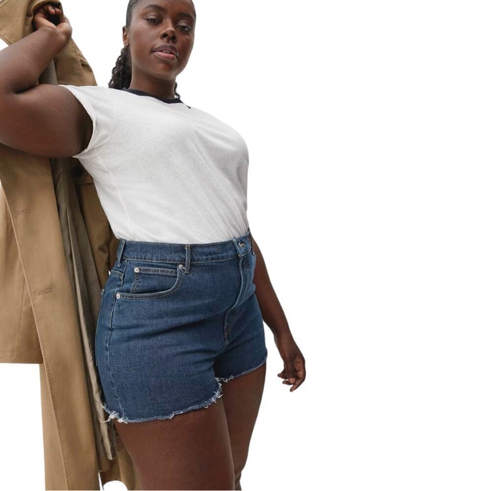 New Everlane The Way-High Denim Short High Rise Raw Hem Organic Cotton Size 31